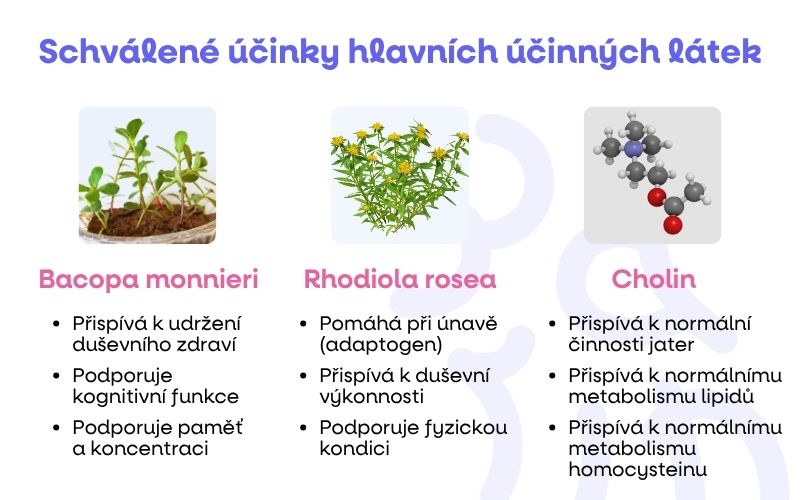 BACOPAINFOGRAFIKA